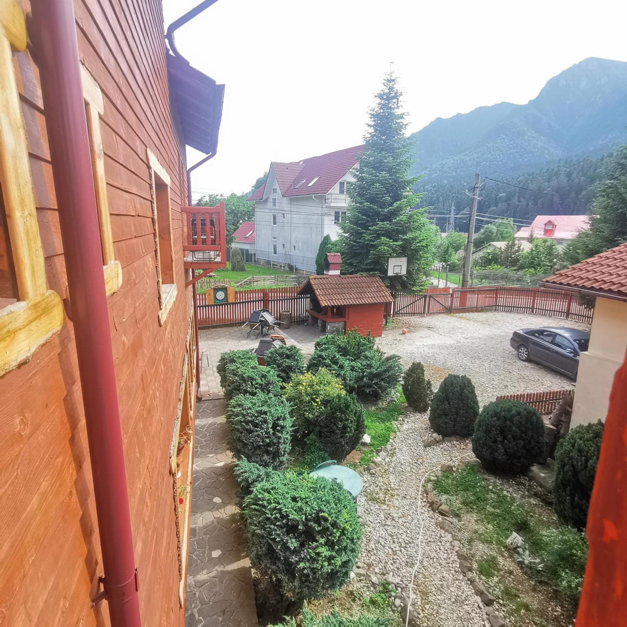 Pensiunea Fara Nume Szászbuda Kültér fotó