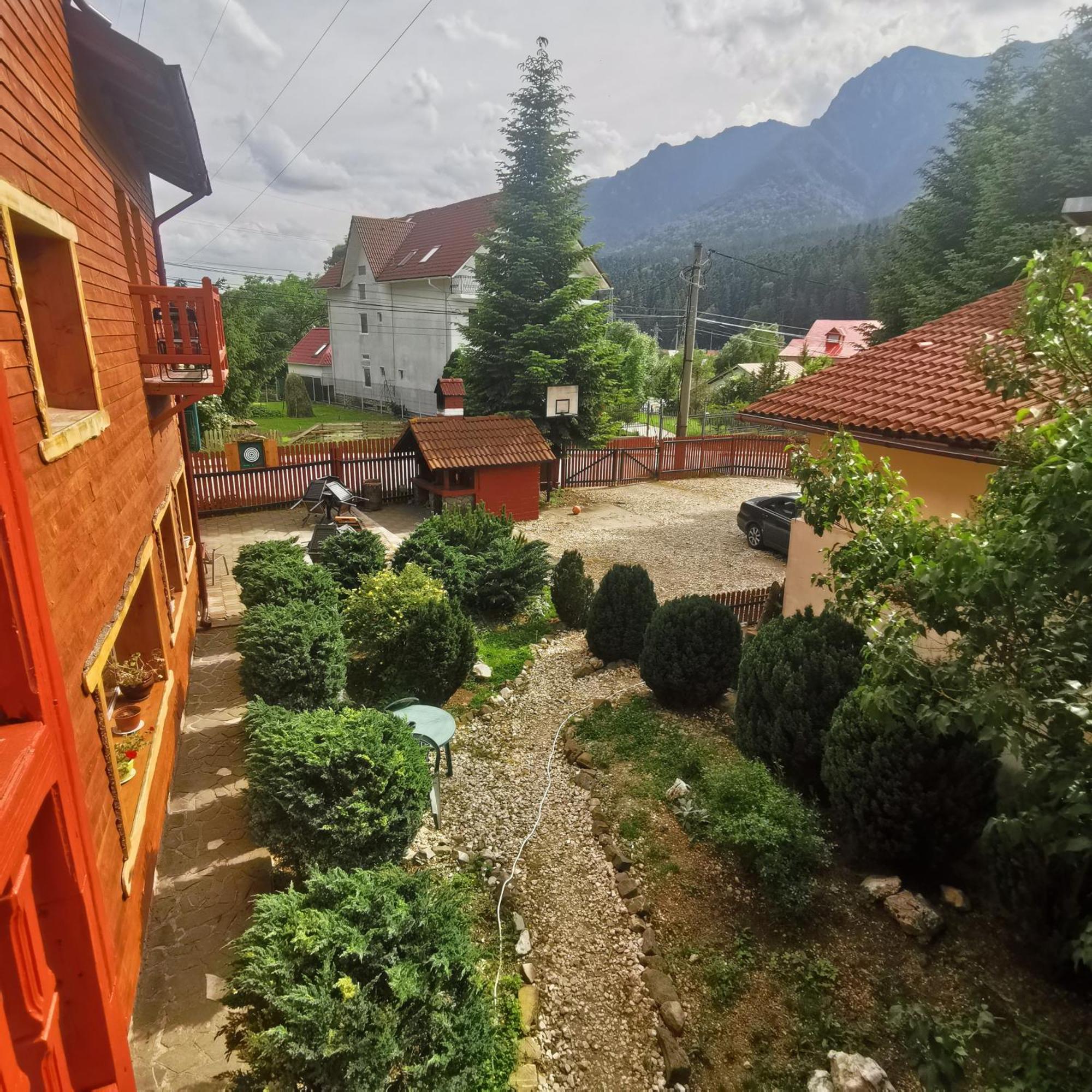 Pensiunea Fara Nume Szászbuda Kültér fotó